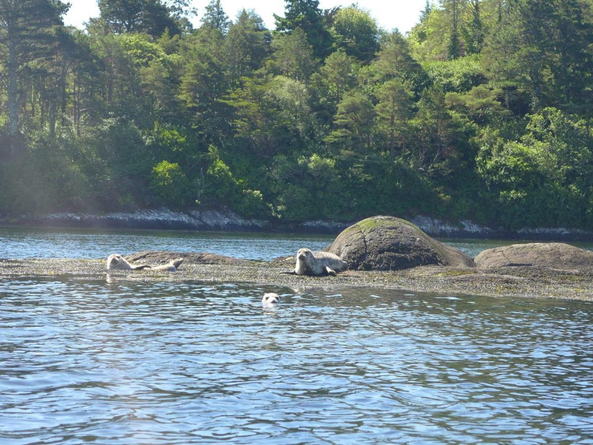 River'S Edge Bed & Breakfast Glengarriff Exterior photo